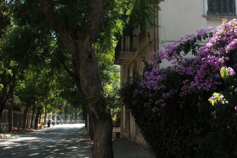 towing service Whitney